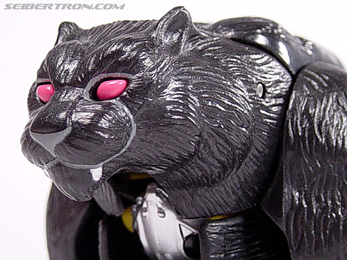 transformers beast wars shadow panther