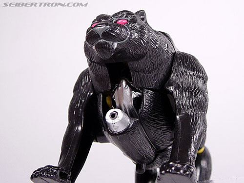 Transformers Beast Wars Shadow Panther (Image #9 of 96)