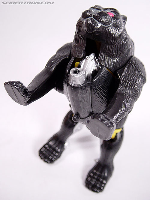 Transformers Beast Wars Shadow Panther (Image #11 of 96)