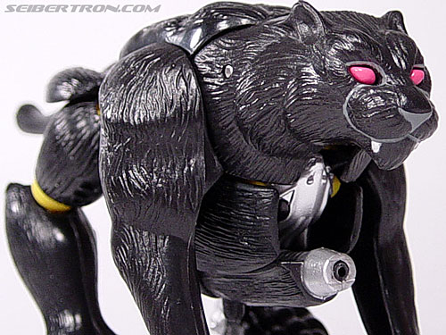 Transformers Beast Wars Shadow Panther (Image #13 of 96)