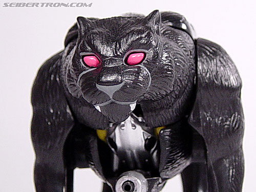 Transformers Beast Wars Shadow Panther (Image #15 of 96)