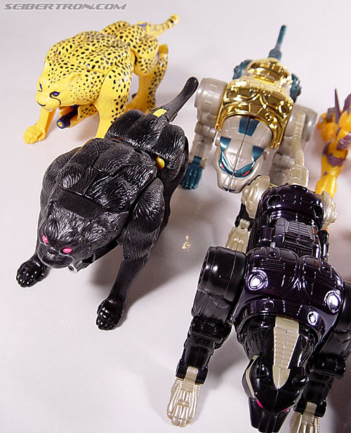 Transformers Beast Wars Shadow Panther (Image #21 of 96)