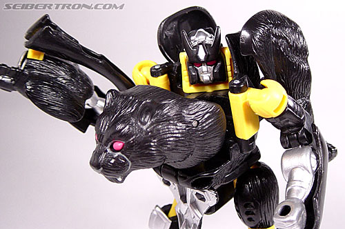 Transformers Beast Wars Shadow Panther (Image #53 of 96)