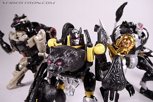 Transformers Beast Wars Shadow Panther (Image #81 of 96)