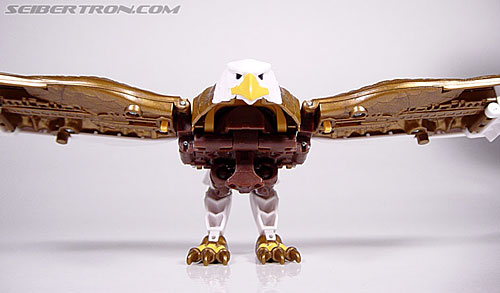 Transformers Beast Wars Silverbolt (Skywarp) Toy Gallery (Image #4 of 52)