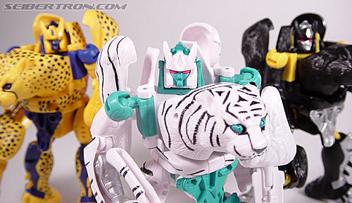 Transformers Beast Wars Tigatron (Image #98 of 107)
