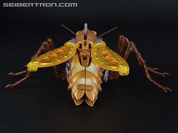 Transformers Beast Wars Transquito (Bigmos) (Image #36 of 128)