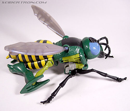 Transformers Beast Wars Waspinator (Waspitor) Toy Gallery (Image #20 of ...