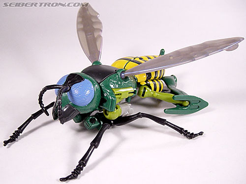 Transformers Beast Wars Waspinator (Waspitor) Toy Gallery (Image #29 of ...