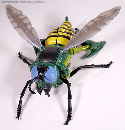 Transformers Beast Wars Waspinator (Waspitor) Toy Gallery (Image #32 of ...