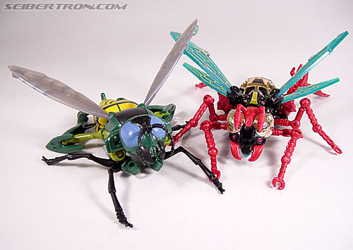 Transformers Beast Wars Waspinator (Waspitor) Toy Gallery (Image #42 of ...