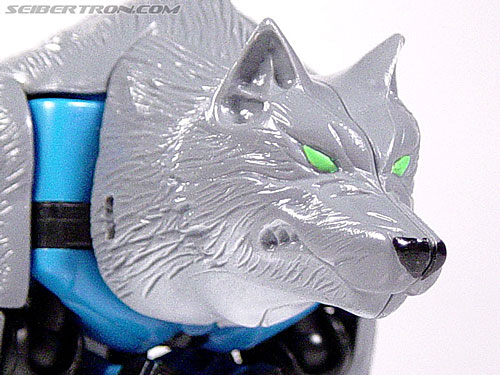Transformers Beast Wars Wolfang (Howlinger) (Image #8 of 74)