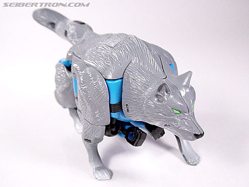 Transformers Beast Wars Wolfang (Howlinger) (Image #9 of 74)