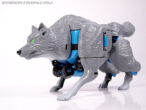 Transformers Beast Wars Wolfang (Howlinger) (Image #16 of 74)