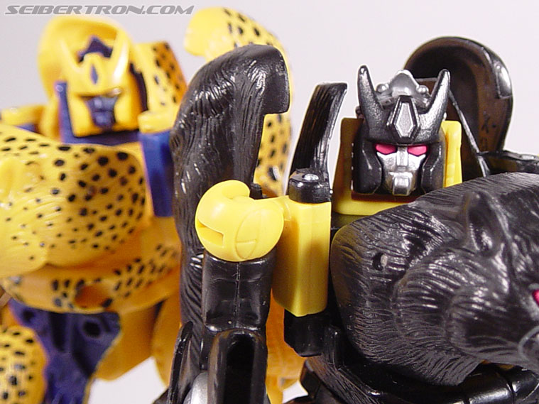 Transformers Beast Wars Shadow Panther (Image #91 of 96)