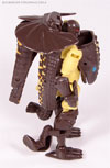 Beast Wars Iguanus - Image #49 of 83