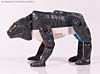 Beast Wars Panther - Image #40 of 90