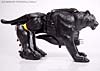 Beast Wars Shadow Panther - Image #3 of 96