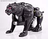 Beast Wars Shadow Panther - Image #6 of 96
