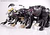 Beast Wars Shadow Panther - Image #23 of 96