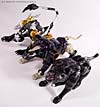 Beast Wars Shadow Panther - Image #24 of 96