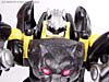 Beast Wars Shadow Panther - Image #63 of 96