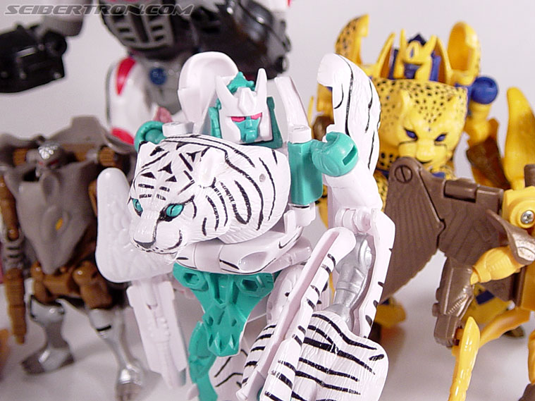 Transformers Beast Wars Tigatron (Image #90 of 107)