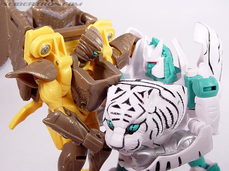 Transformers Beast Wars Tigatron (Image #107 of 107)