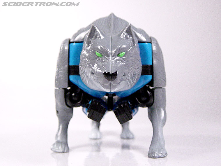 Transformers Beast Wars Wolfang (Howlinger) (Image #6 of 74)