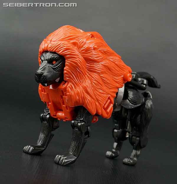 Transformers Beast Wars II Lio Junior (Black version) Toy Gallery ...