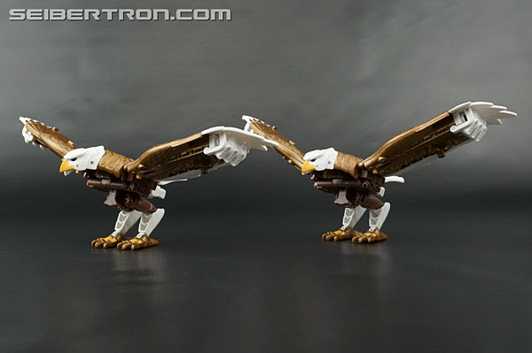 Transformers Beast Wars II Skywarp (Image #51 of 133)