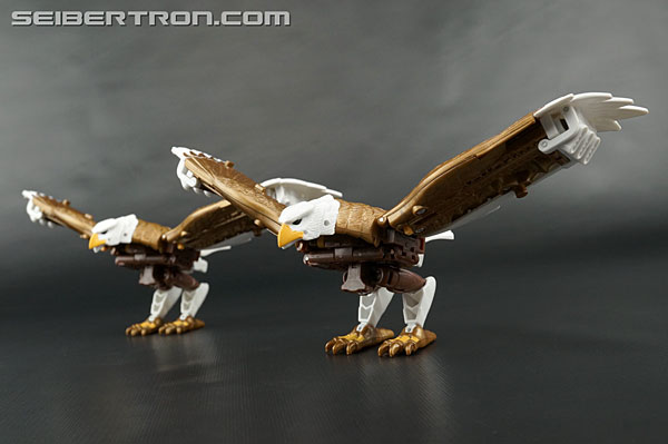 Transformers Beast Wars II Skywarp (Image #52 of 133)