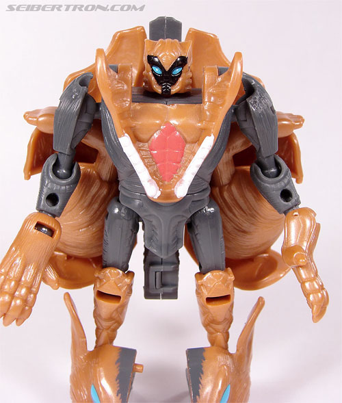 Transformers Beast Wars II Tasmanian Kid (Image #49 of 83)