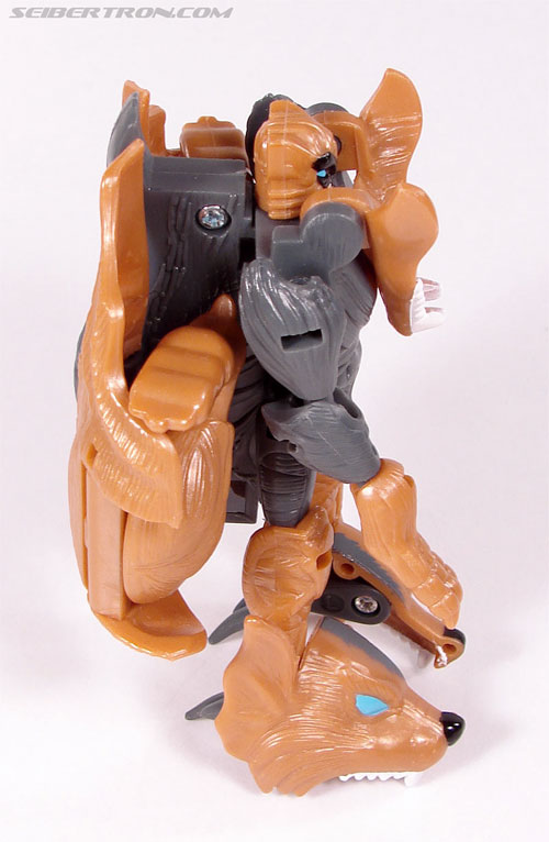 Transformers Beast Wars II Tasmanian Kid (Image #57 of 83)