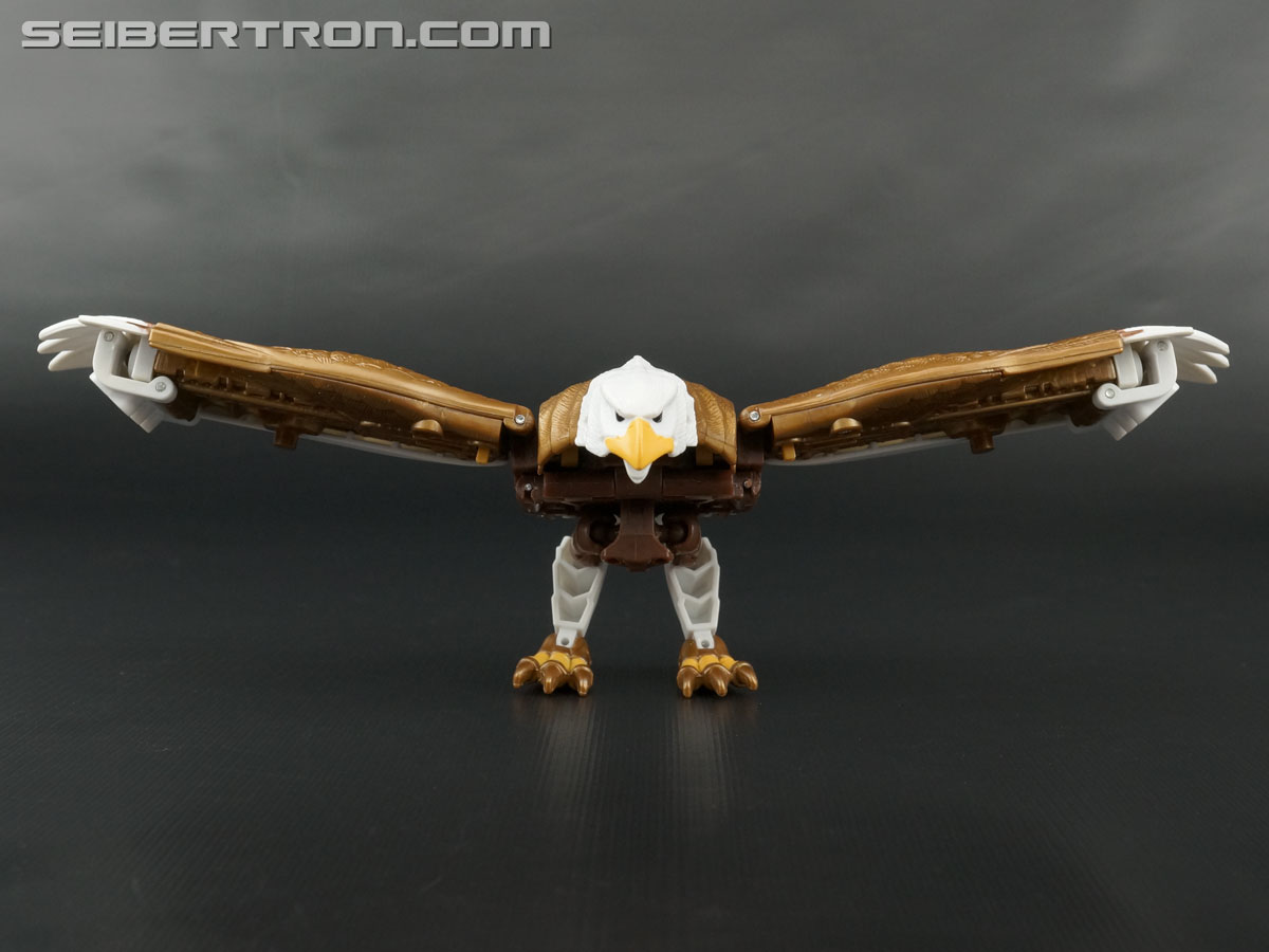 Transformers Beast Wars II Skywarp (Image #1 of 133)