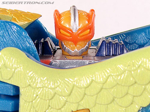 Transformers Beast Machines Airraptor (Image #32 of 69)