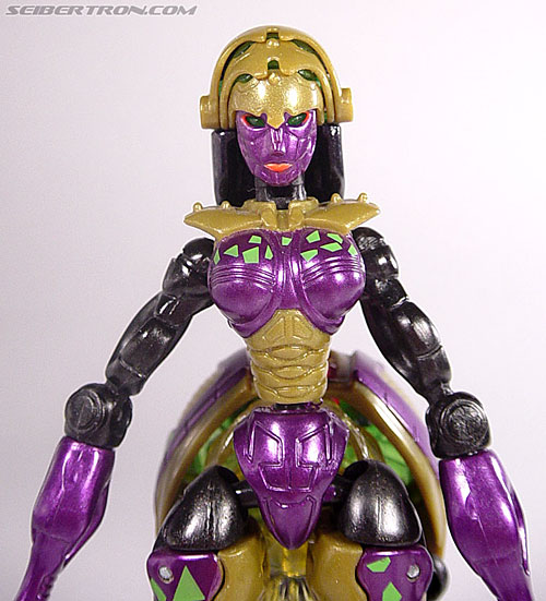 Transformers Beast Machines Blackarachnia (Black Widow) (Image #24 of 51)