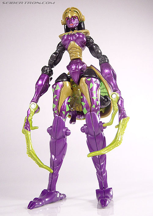 Transformers Beast Machines Blackarachnia (Black Widow) (Image #34 of 51)