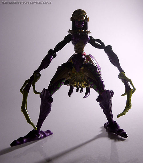 Transformers Beast Machines Blackarachnia (Black Widow) (Image #41 of 51)