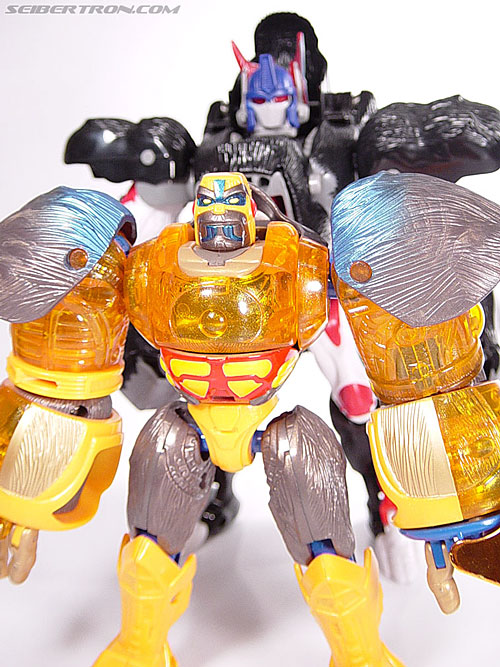 Transformers Beast Machines Blast Punch Optimus Primal (Beast Convoy) (Image #53 of 53)