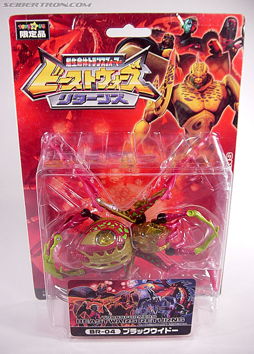 Transformers Beast Machines Blackarachnia (Black Widow) (Image #1 of 62)