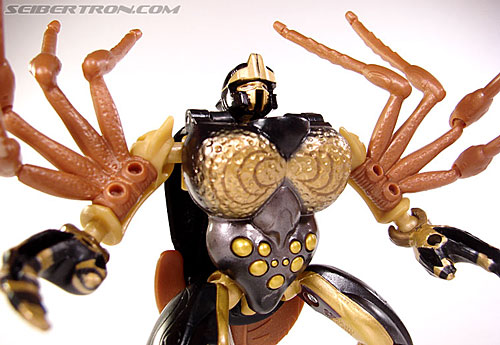 Transformers Beast Wars Telemocha Series Blackarachnia (Black Widow)  (Reissue) (Image #88 of 186)