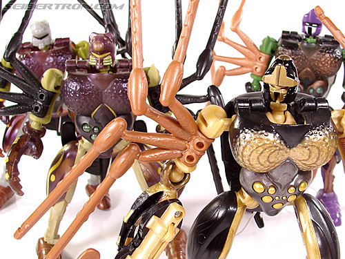 Transformers Beast Wars Telemocha Series Blackarachnia (Black Widow)  (Reissue) (Image #146 of 186)