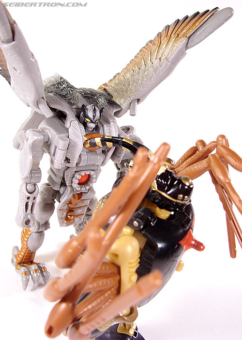 Transformers Beast Wars Telemocha Series Blackarachnia (Black Widow)  (Reissue) (Image #163 of 186)