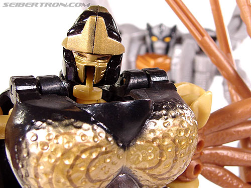 Transformers Beast Wars Telemocha Series Blackarachnia (Black Widow)  (Reissue) (Image #170 of 186)