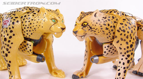 Transformers Beast Wars Telemocha Series Cheetor (Cheetas)  (Reissue) (Image #53 of 118)