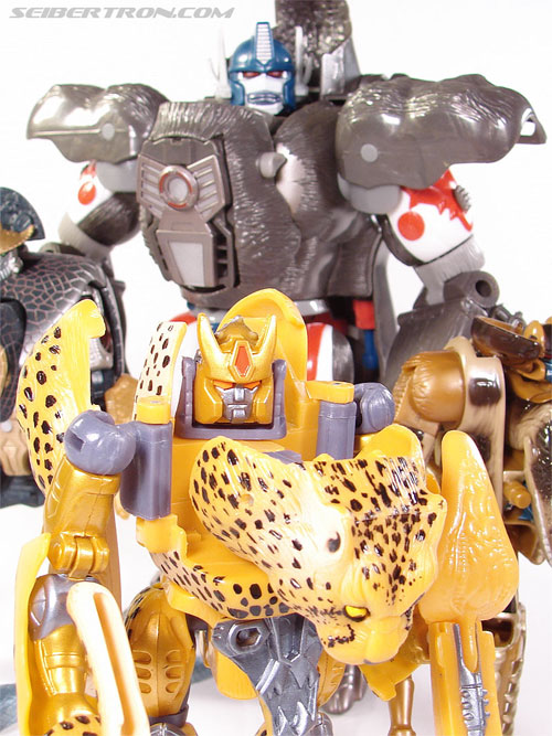 Transformers Beast Wars Telemocha Series Cheetor (Cheetas)  (Reissue) (Image #67 of 118)
