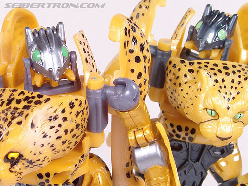 Transformers Beast Wars Telemocha Series Cheetor (Cheetas)  (Reissue) (Image #118 of 118)