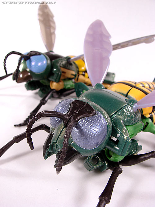 Transformers Beast Wars Telemocha Series Waspinator (Waspitas) (Reissue ...