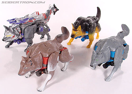 Transformers Beast Wars Telemocha Series Wolfang (Reissue) (Image #50 of 128)